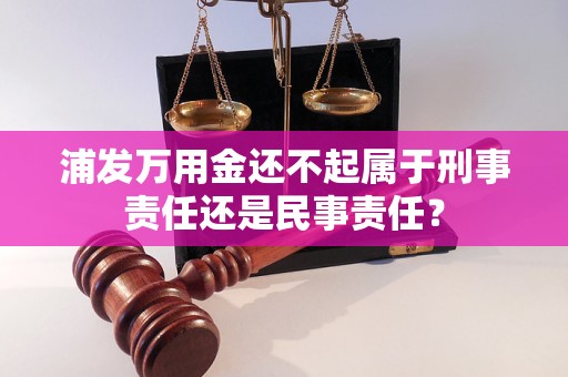 浦发万用金还不起属于刑事责任还是民事责任？