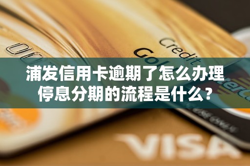 浦发信用卡逾期了怎么办理停息分期的流程是什么？