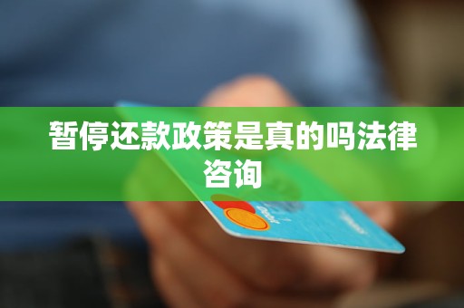 暂停还款政策是真的吗法律咨询