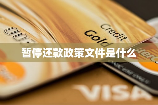 暂停还款政策文件是什么