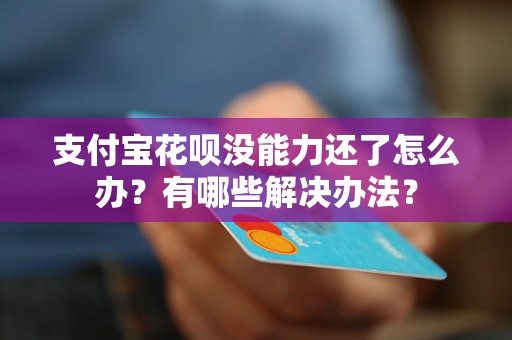 支付宝花呗没能力还了怎么办？有哪些解决办法？