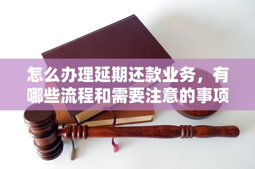 怎么办理延期还款业务，有哪些流程和需要注意的事项？