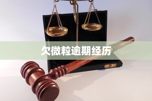 欠微粒逾期经历