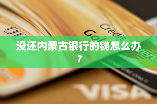 没还内蒙古银行的钱怎么办？