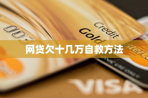网贷欠十几万自救方法