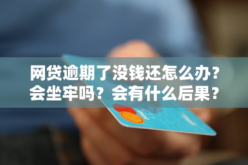网贷逾期了没钱还怎么办？会坐牢吗？会有什么后果？