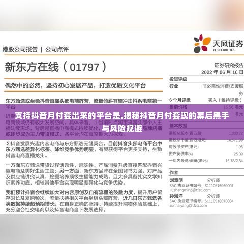 支持抖音月付套出来的平台是,揭秘抖音月付套现的幕后黑手与风险规避