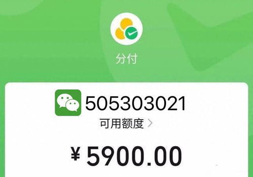 微信分付秒到套出来啊,微信分付秒到套现技巧与风险管理