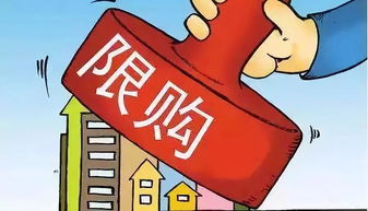 羊小咩套现中介,羊小咩套现中介揭秘，如何安全高效地利用羊毛积分