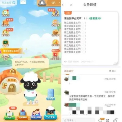 羊小咩便荔卡包额度取现 羊小咩便荔卡包额度取现详解，操作指南与案例分析