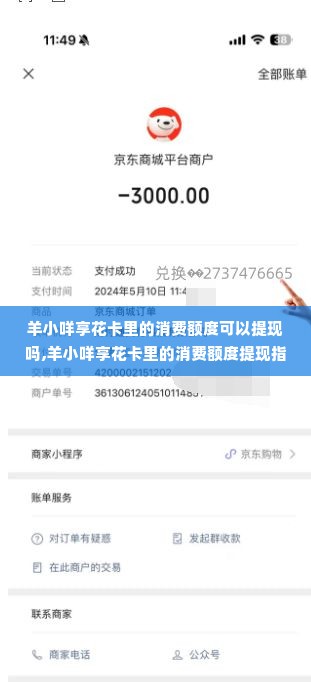 羊小咩享花卡里的消费额度可以提现吗,羊小咩享花卡里的消费额度提现指南
