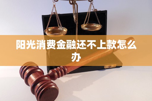阳光消费金融还不上款怎么办