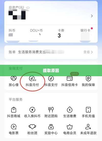 如何套出来抖音月付额度,揭秘抖音月付额度的获取之道