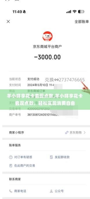 羊小咩享花卡套现点数,羊小咩享花卡套现点数，轻松实现消费自由