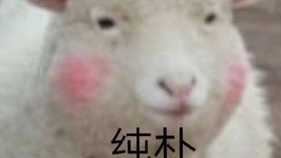 羊小咩提现需要担保费吗,羊小咩提现是否需要担保费