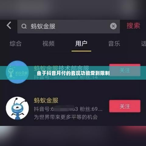 抖音月付套出来商家有哪些,抖音月付套现，商家的机遇与挑战