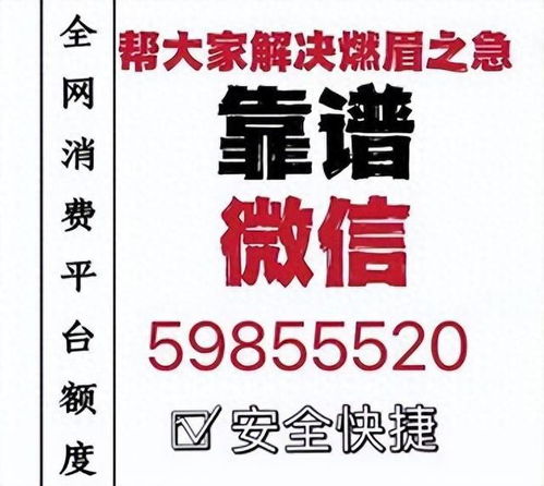 羊小咩享花卡500套现秒回款,羊小咩享花卡——500套现秒回款，开启消费新纪元