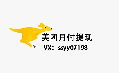 美团月付599套出来,美团月付599套出来，深入剖析与用户指南