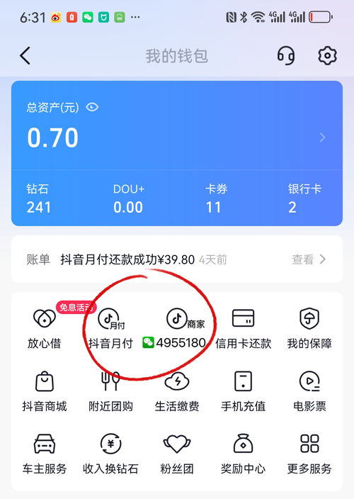 抖音月付怎么套出来秒到账户上,抖音月付提现教程，如何快速将月付金额套现到账户上