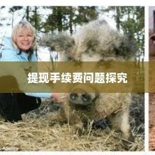 羊小咩提现手续费,羊小咩提现手续费问题探究