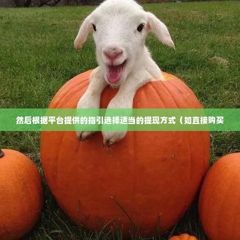 羊小咩的额度可以提现吗,羊小咩的额度提现之道