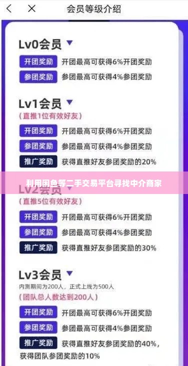 美团月付怎么套出来啊2023,揭秘美团月付如何套现，2023年最新攻略与风险提示