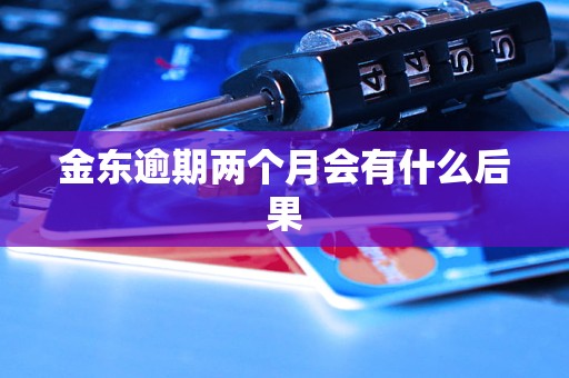 金东逾期两个月会有什么后果
