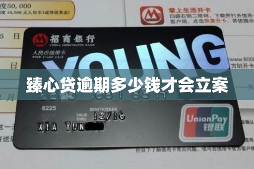 臻心贷逾期多少钱才会立案