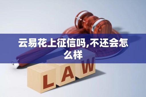 云易花上征信吗,不还会怎么样