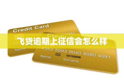 飞贷逾期上征信会怎么样