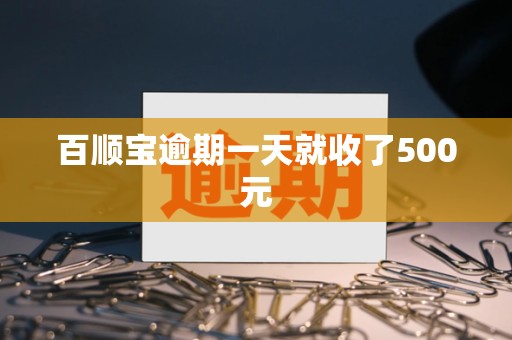 百顺宝逾期一天就收了500元