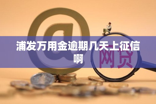 浦发万用金逾期几天上征信啊