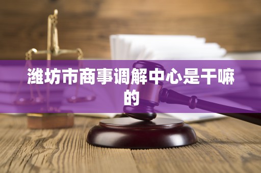潍坊市商事调解中心是干嘛的
