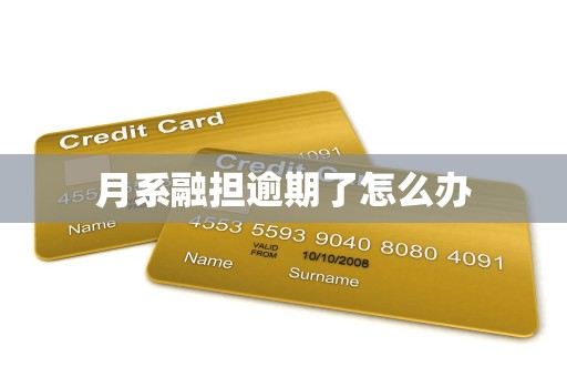 月系融担逾期了怎么办