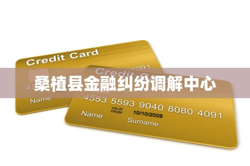 桑植县金融纠纷调解中心