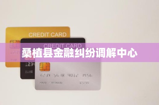 桑植县金融纠纷调解中心