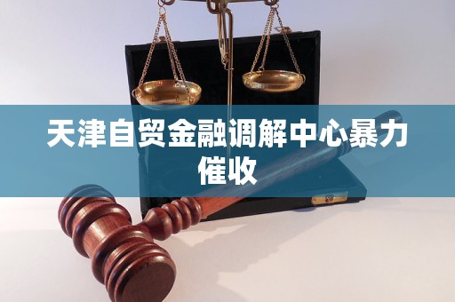 天津自贸金融调解中心暴力催收