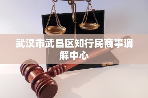 武汉市武昌区知行民商事调解中心