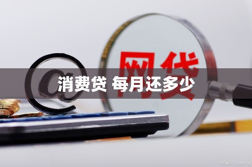 消费贷 每月还多少