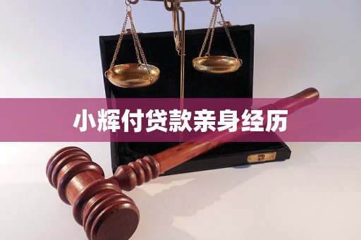 小辉付贷款亲身经历