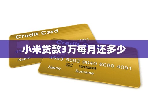小米贷款3万每月还多少