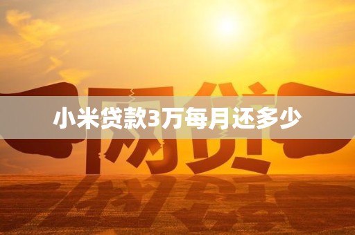 小米贷款3万每月还多少