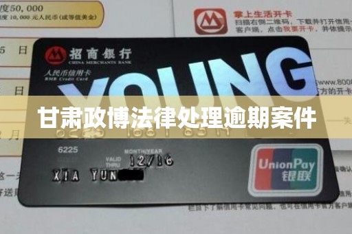 甘肃政博法律处理逾期案件