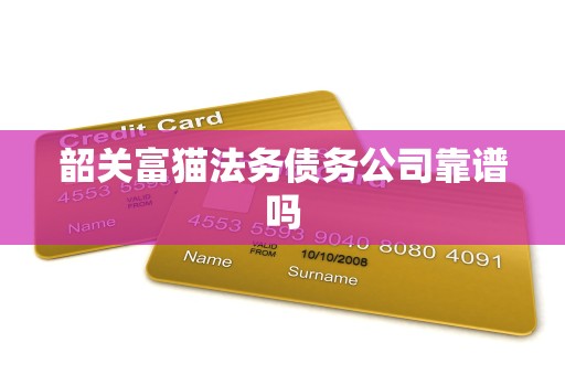 韶关富猫法务债务公司靠谱吗