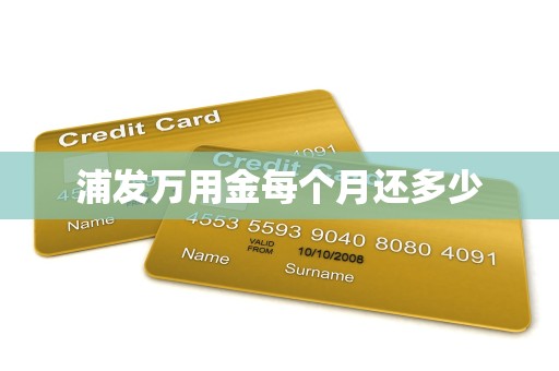 浦发万用金每个月还多少