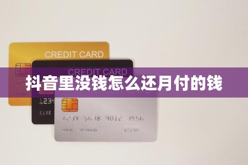 抖音里没钱怎么还月付的钱