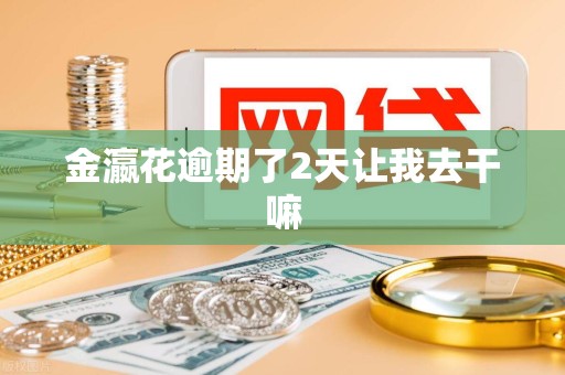 金瀛花逾期了2天让我去干嘛