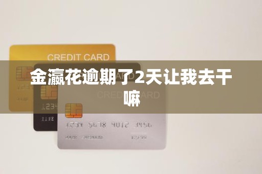 金瀛花逾期了2天让我去干嘛