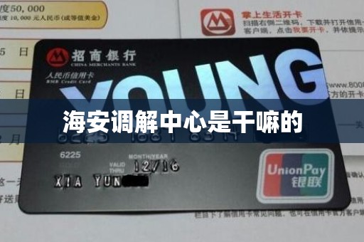 海安调解中心是干嘛的