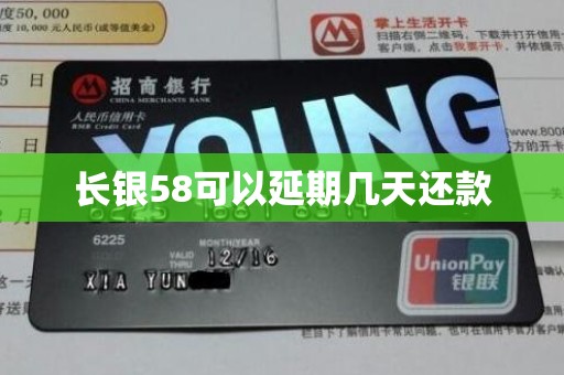 长银58可以延期几天还款